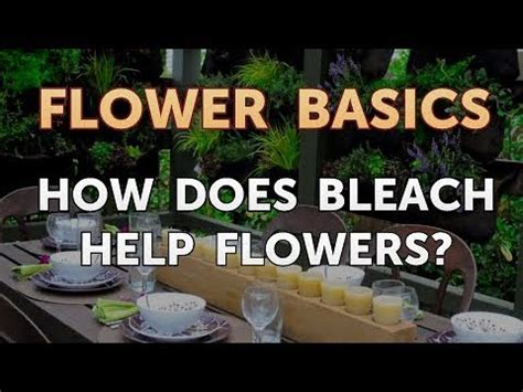 Does Bleach Help Flowers?